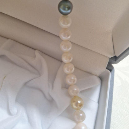 Akoya pearl multicolor necklace 50cm with pearls size 7-9mm and silver clasp with inscription