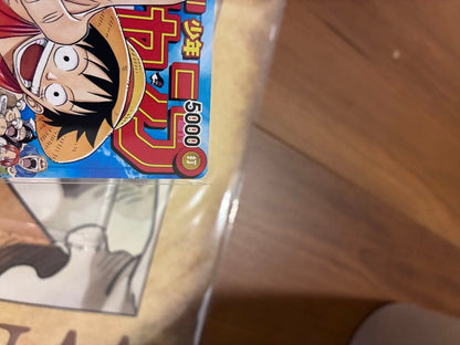One Piece Monkey D. Luffy P — Japanese