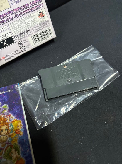 GBA Magical Vacation game cartridge, original box, and instruction manual for Nintendo Game Boy Advance