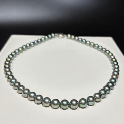 Akoya pearl peacock necklace with 7-7.5mm round pearls and silver SV clasp measuring about 42cm