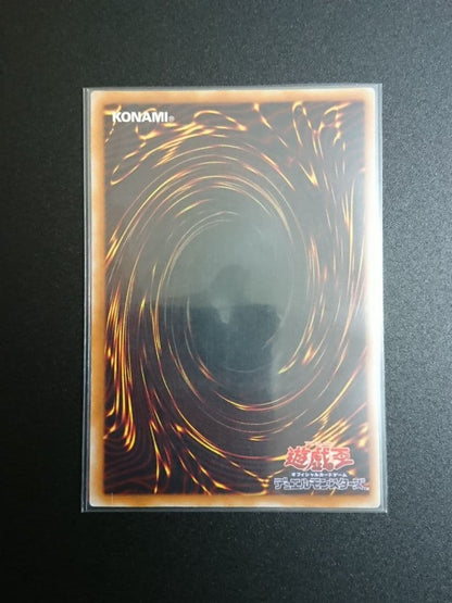 Yu-Gi-Oh Dark Rebellion XYZ Dragon — Japanese