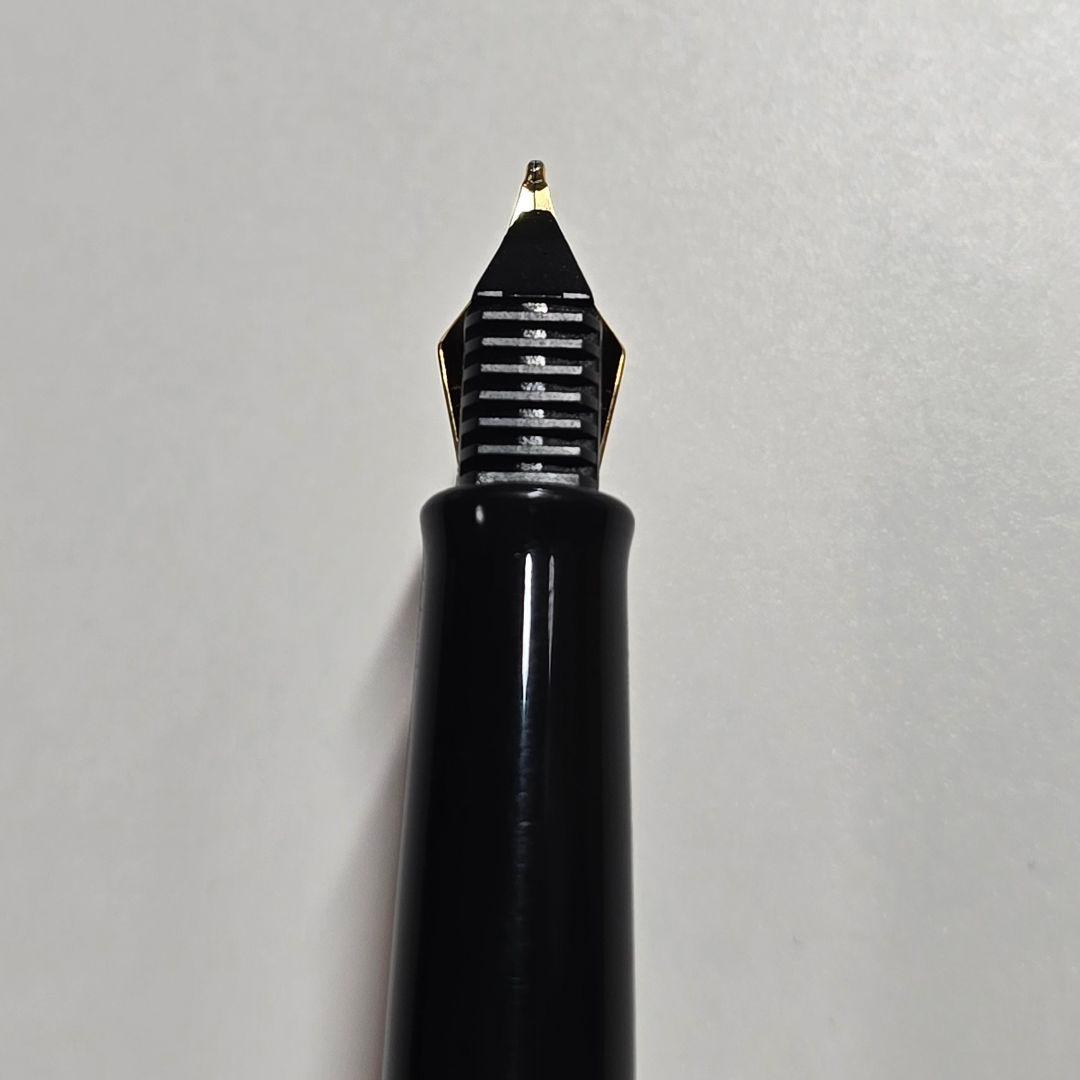 Waterman Fountain Pen in black body with gold color accents and gold nib
