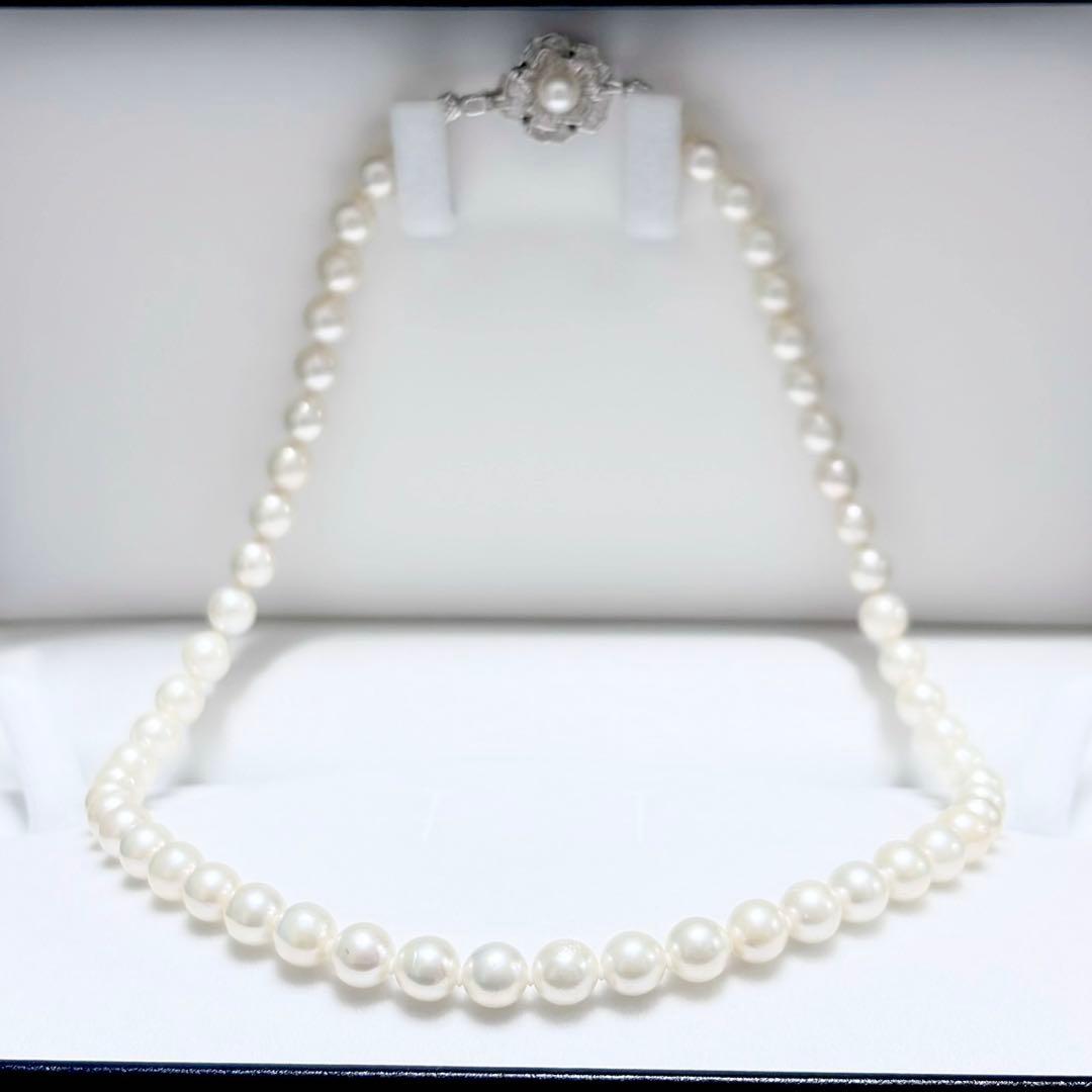 Akoya genuine pearl necklace with 6.4-6.9mm white pearls and silver SV clasp laid out on a white background