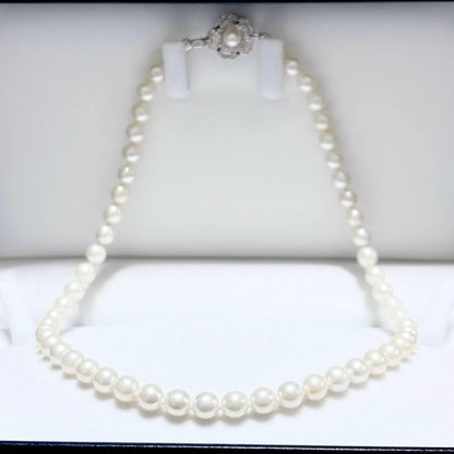 Akoya genuine pearl necklace with 6.4-6.9mm white pearls and silver SV clasp laid out on a white background