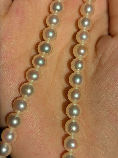 Tasaki Akoya pearl necklace with 6.5-7mm pearls and silver clasp, 42cm length
