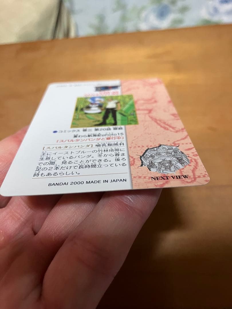 One Piece Zoro — Japanese