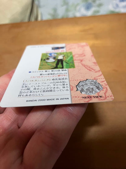 One Piece Zoro — Japanese
