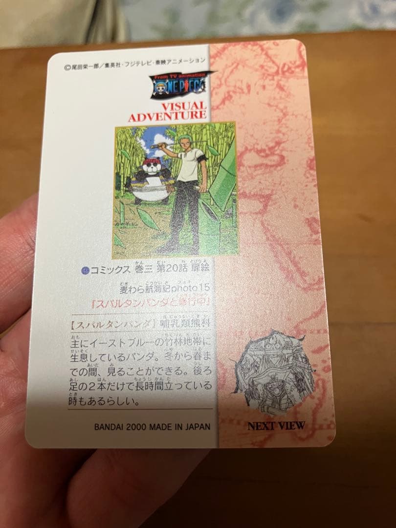 One Piece Zoro — Japanese