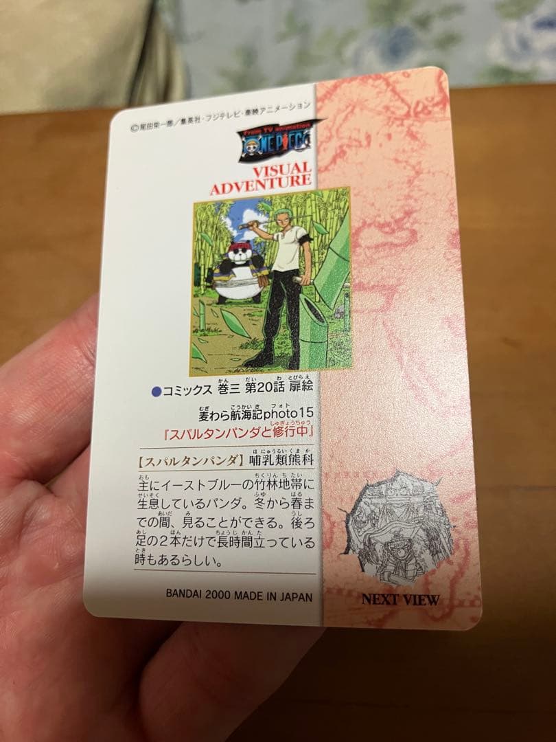 One Piece Zoro — Japanese