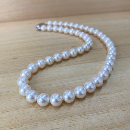 Akoya pearl necklace with 49 iridescent pearls sized 8.0-8.5mm and silver one-touch clasp on white background