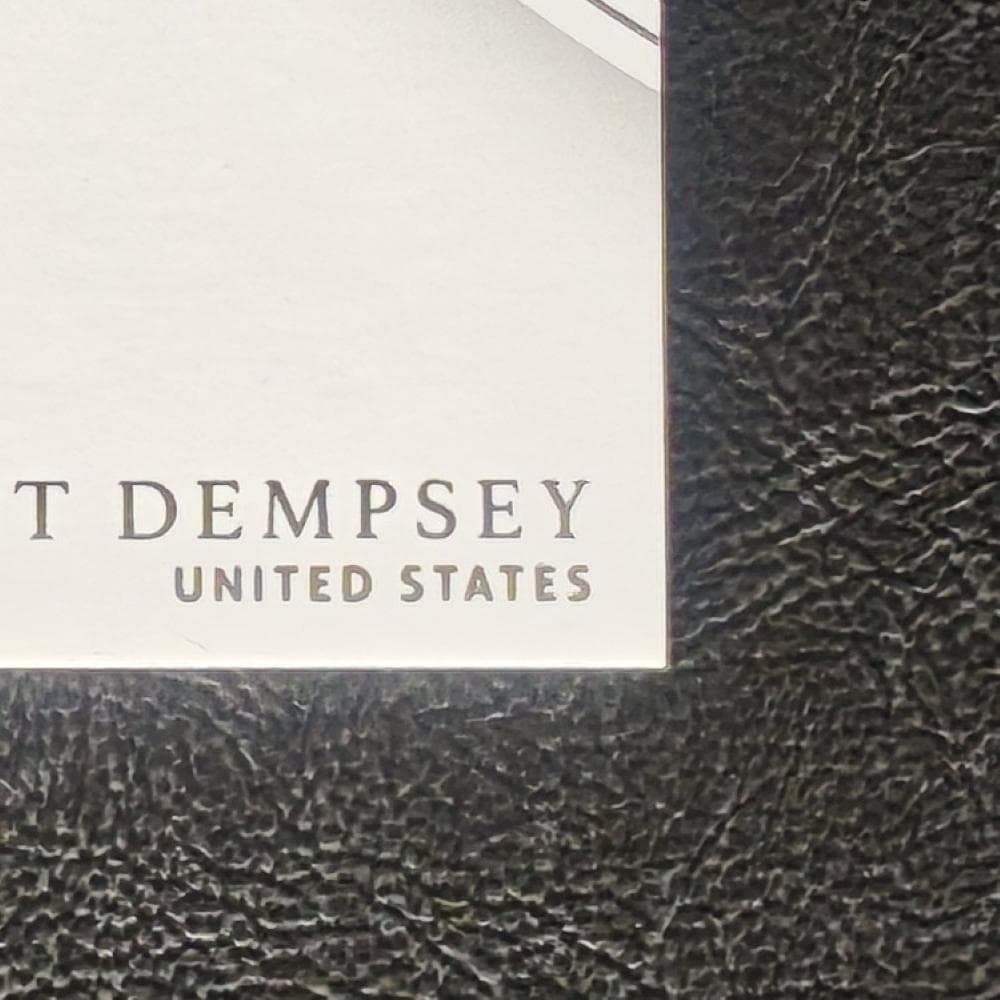 Clinton Dempsey — Japanese