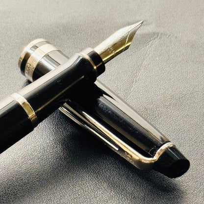 Waterman Expert Essential Black fountain pen with silver stainless steel accents and fine point nib