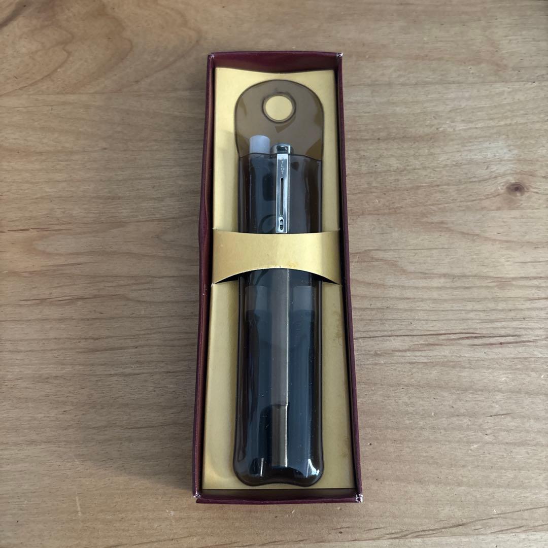 PILOT Silver Fountain Pen with clip displayed on white background