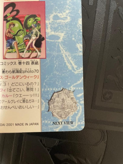 One Piece One Piece Visual Adventure 107 Straw Hat Voyage Photo 70 — Japanese