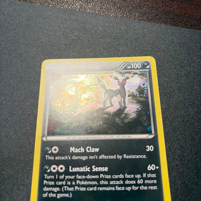 Pokemon Umbreon PROMO — XY Series Promo Card — Japanese