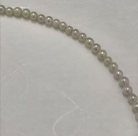 Akoya pearl baby necklace with small round pearls measuring 3.5 to 3.9mm on a 42cm chain