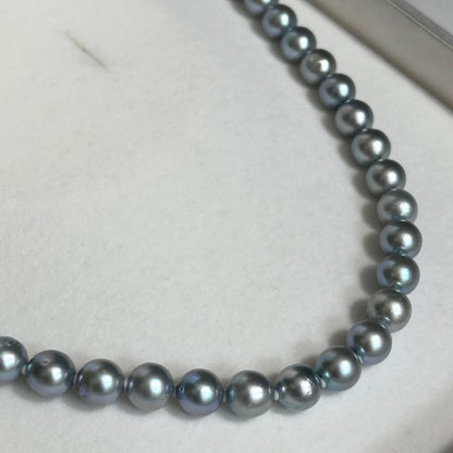 Akiya pearl necklace with blue Akoya pearls, 8.5mm size, 46cm length, sterling silver clasp