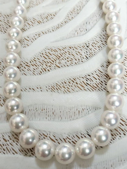 Akoya pearl large round necklace with white pearls and pink-green light interference on a white background