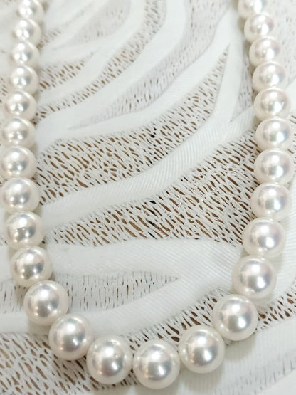Akoya pearl large round necklace with white pearls and pink-green light interference on a white background