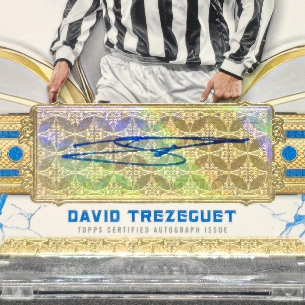 David Trezeguet — Japanese