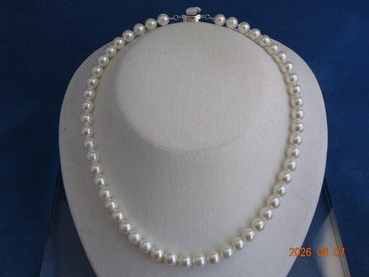 Akoya pearl necklace featuring 7.5-8mm almost round white pearls with pink, blue, and cream hues on a 43cm chain
