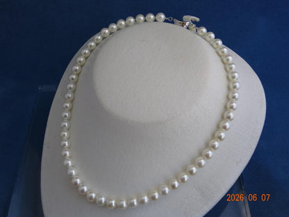 Akoya pearl necklace featuring 7.5-8mm almost round white pearls with pink, blue, and cream hues on a 43cm chain
