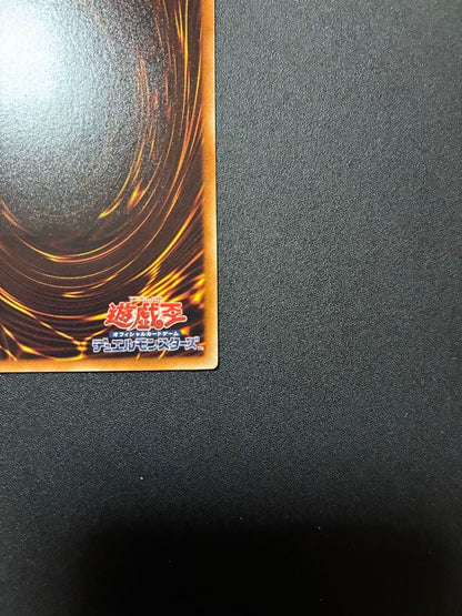 Yu-Gi-Oh Yubel Leaf — Japanese
