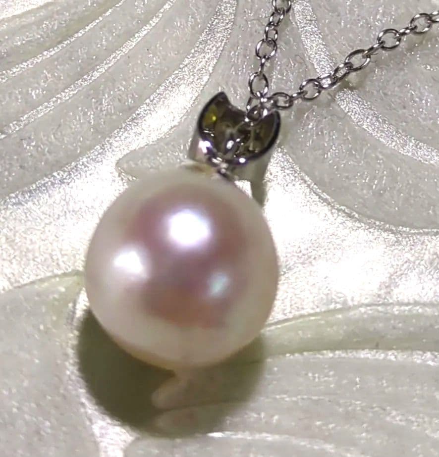 Black Akoya pearl pendant top with necklace set featuring ribbon motif and green-tinged and purple-tinged pearls