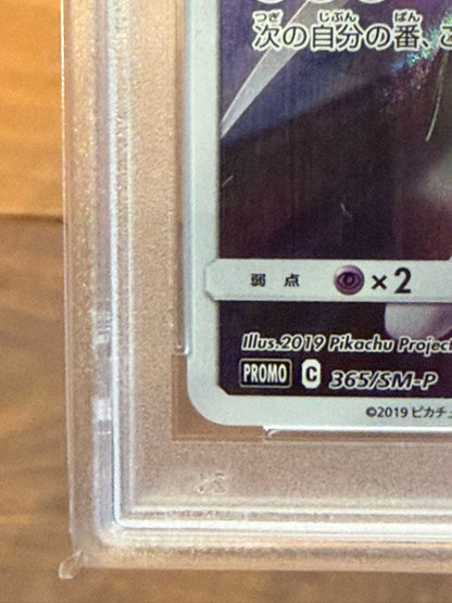 PSA 6 Pokemon Mewtwo PROMO — Japanese