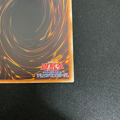 Yu-Gi-Oh Ghost Reaper & Winter Cherries — Japanese