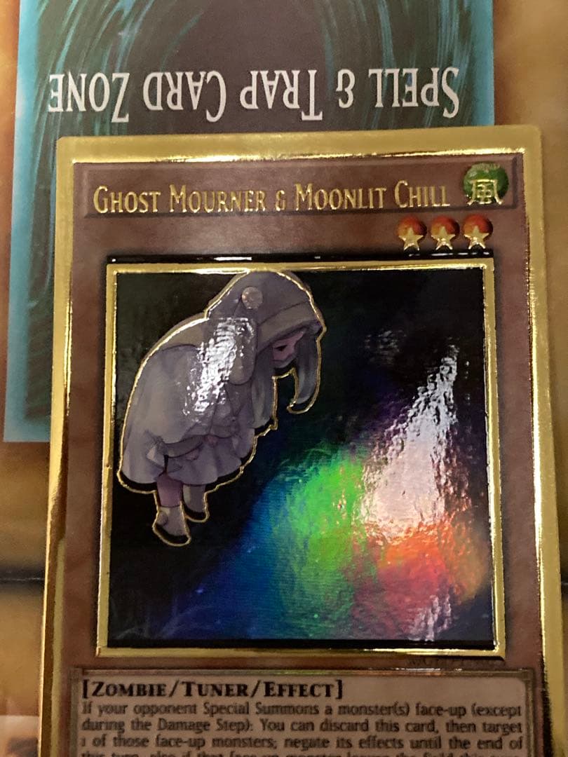 Yu-Gi-Oh Ghost Sister & Spooky Dogwood — Japanese