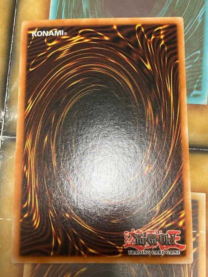 Yu-Gi-Oh Ghost Sister & Spooky Dogwood — Japanese