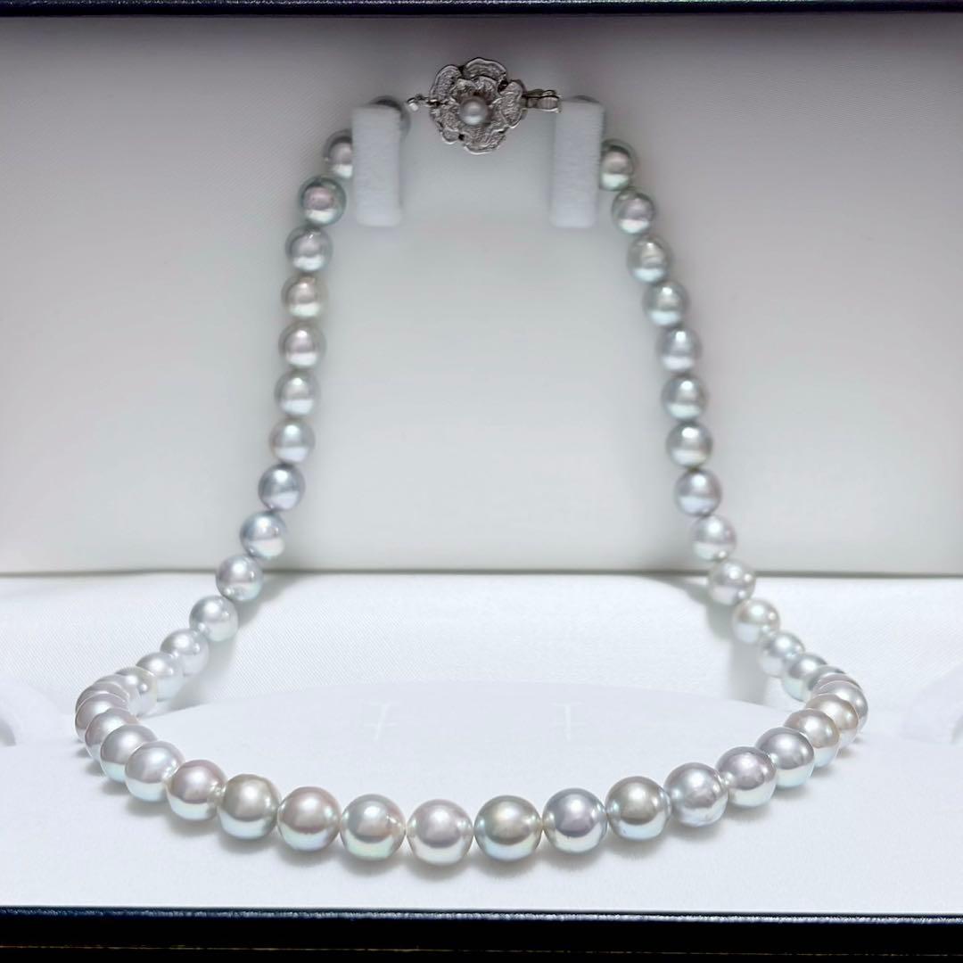Honma Pearl Akoya natural 7.6-8.0mm light gray pearl necklace with silver clasp on white background