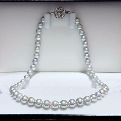 Honma Pearl Akoya natural 7.6-8.0mm light gray pearl necklace with silver clasp on white background