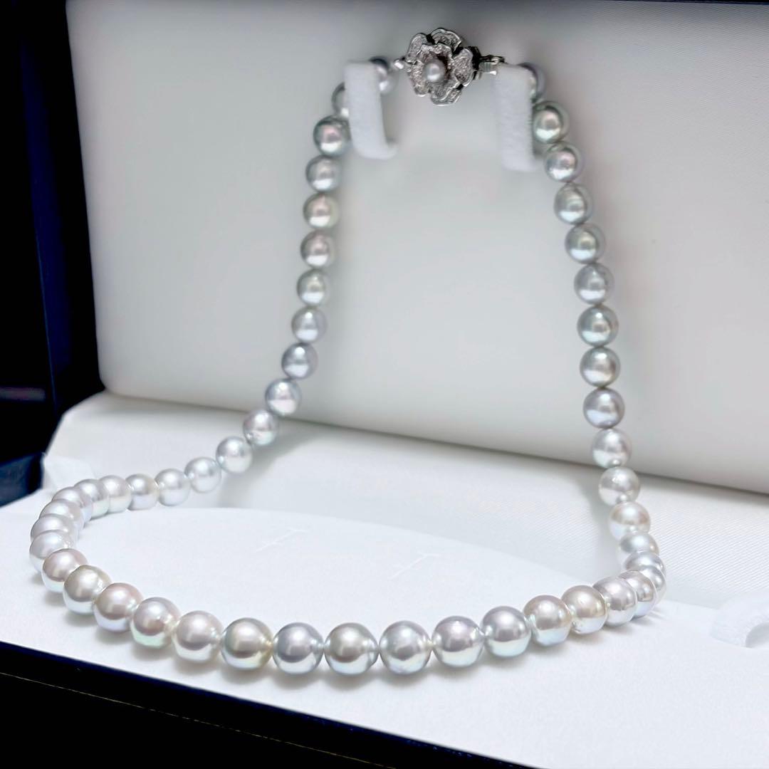 Honma Pearl Akoya natural 7.6-8.0mm light gray pearl necklace with silver clasp on white background