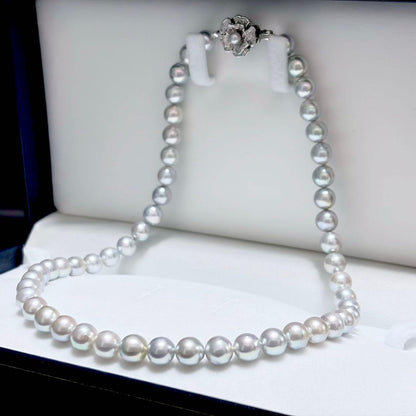 Honma Pearl Akoya natural 7.6-8.0mm light gray pearl necklace with silver clasp on white background