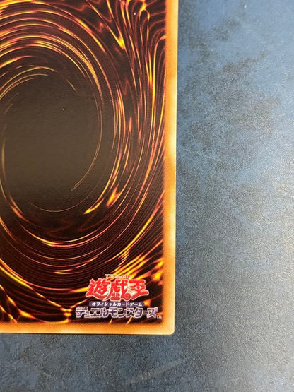 Yu-Gi-Oh Black Rose Dragon — Japanese