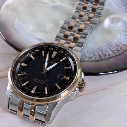 Citizen Eco-Drive World Time Solar Men's Watch — Japanese