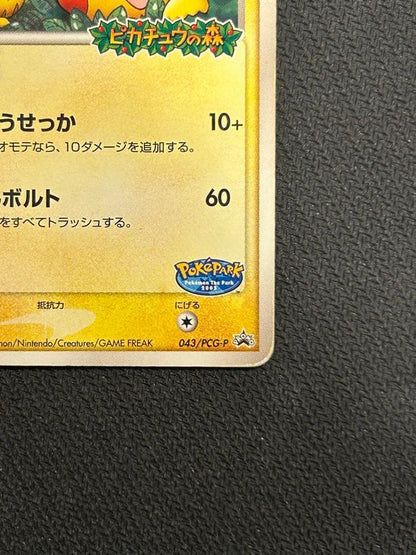 Pokemon Pikachu PROMO — PCG-P Promo Card — Japanese