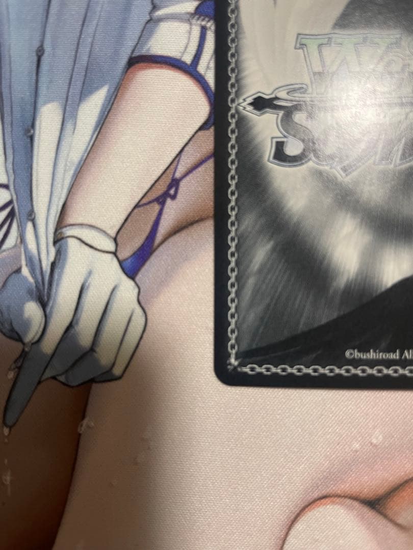 Goddess of Victory: Nikke Ludmila Winter Owner Sp — Japanese