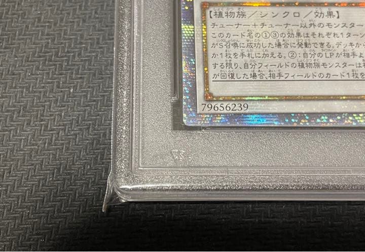 PSA 9 Yu-Gi-Oh Aromaseraphy Sweet Marjoram — Japanese