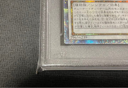 PSA 9 Yu-Gi-Oh Aromaseraphy Sweet Marjoram — Japanese