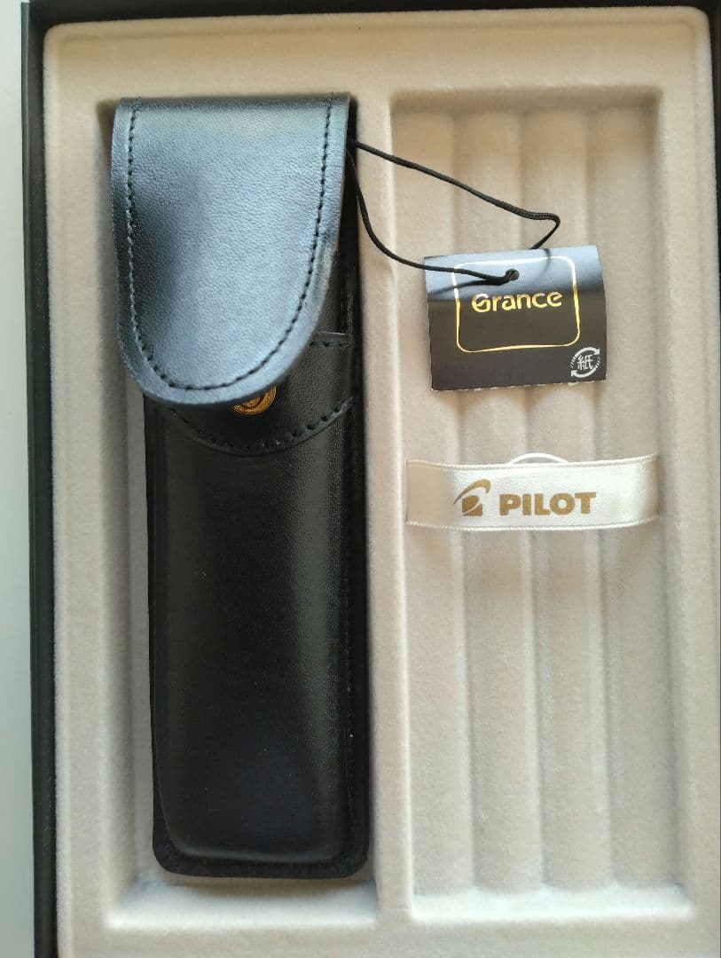 PILOT Grance ballpoint pen in green marble color with dedicated case on white background