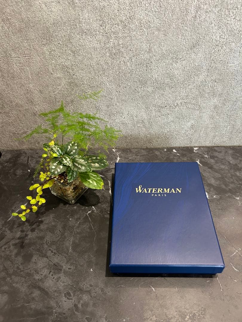 Waterman Expert Essential Blue metal pen with gold accents and included dedicated case