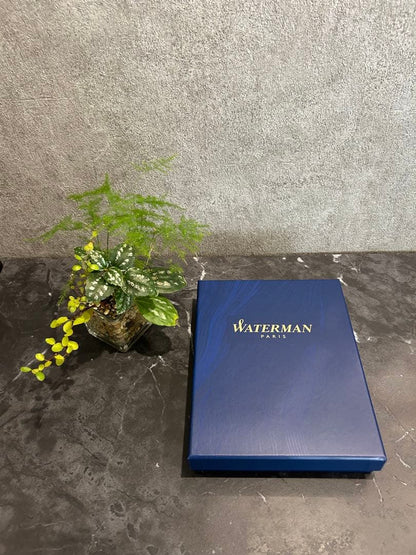 Waterman Expert Essential Blue metal pen with gold accents and included dedicated case