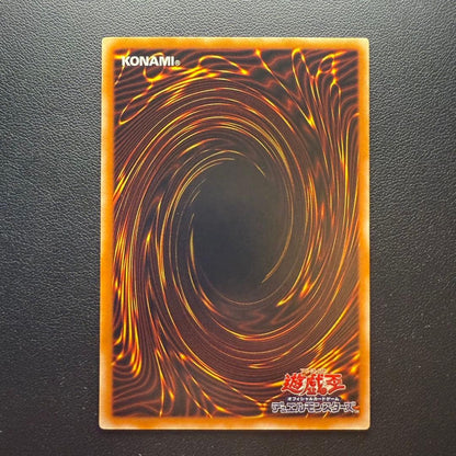 Yu-Gi-Oh Magician of Black Chaos, Rare Leaf — Japanese
