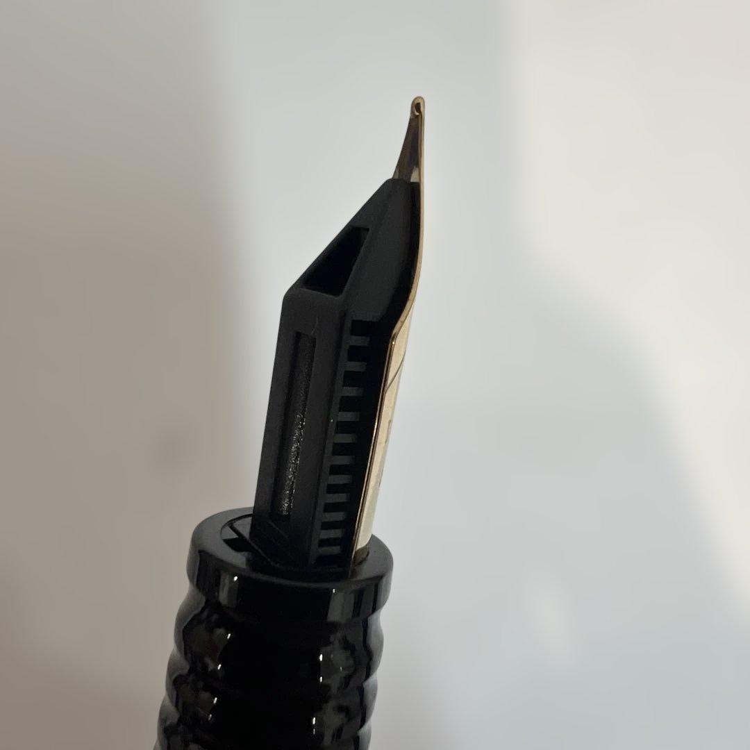 Unused WATERMAN fountain pen with fine nib and included cartridge