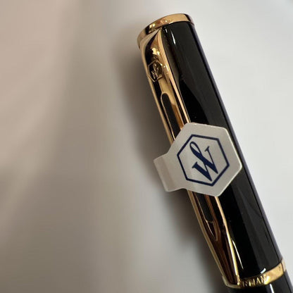 Unused WATERMAN fountain pen with fine nib and included cartridge