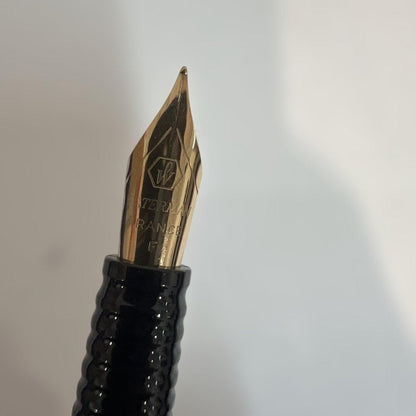 Unused WATERMAN fountain pen with fine nib and included cartridge
