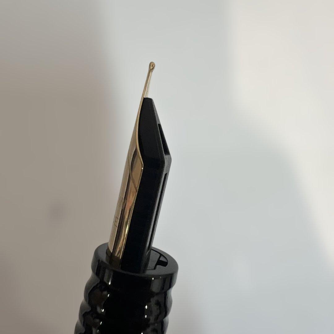 Unused WATERMAN fountain pen with fine nib and included cartridge